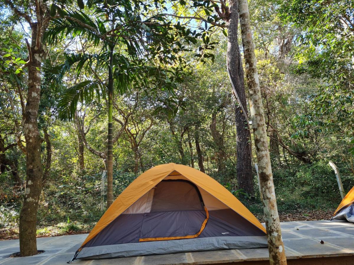Campsite Captain's Camp
